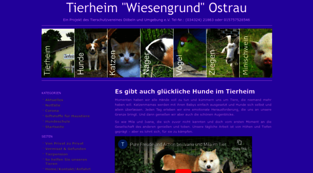 tierheim-ostrau.de