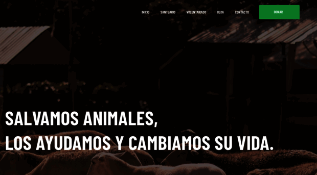 tierradeanimales.org