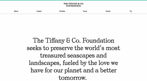 tiffanyandcofoundation.org