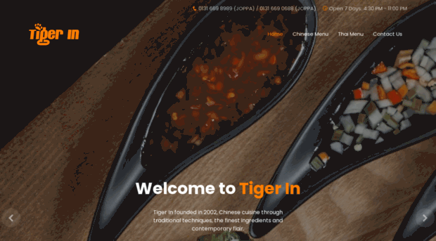 tiger-in.co.uk