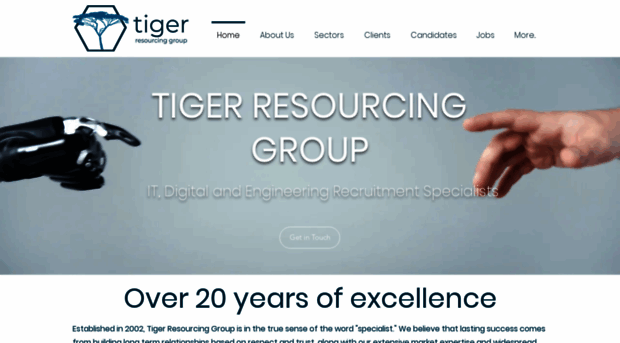 tiger-it.com