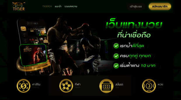 tiger24.agency