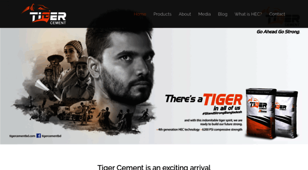 tigercementbd.com