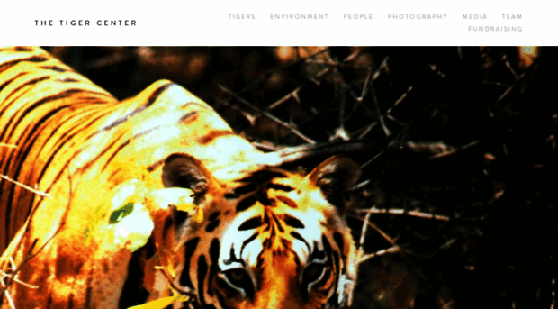 tigercenter.org