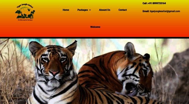 tigerjunglesafari.com