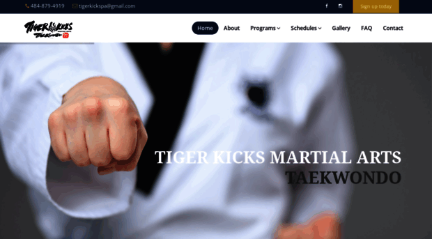 tigerkickstkd.com