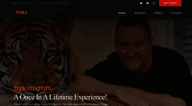 tigerkingdom.com