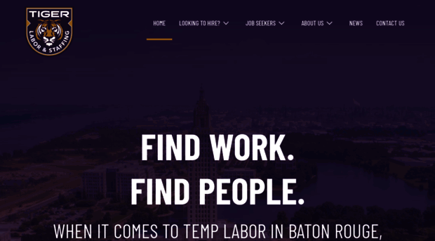 tigerlabor.com