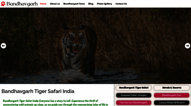 tigersafaribandhavgarh.com