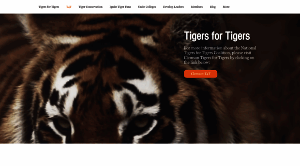 tigersfortigers.org