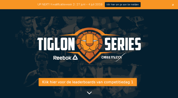 tiglon.nl