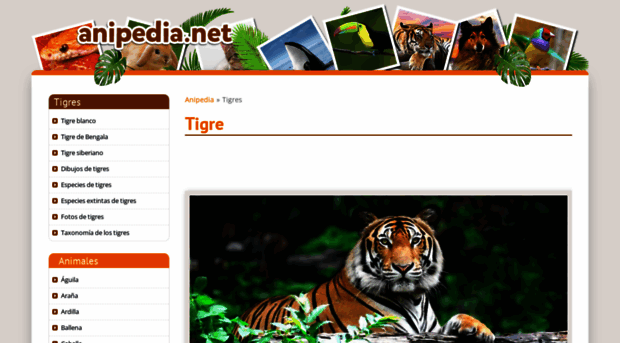 tigres.anipedia.net