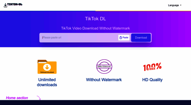 tiktok-dl.app