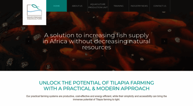 tilapiafarming.co.za