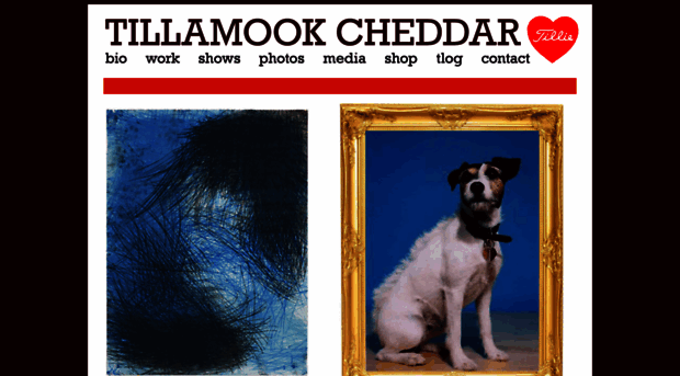 tillamookcheddar.com