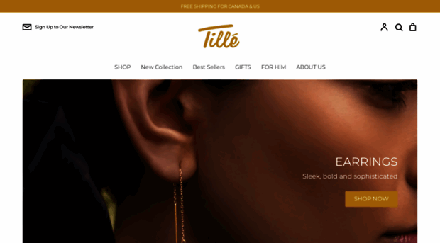 tillegoldgallery.com