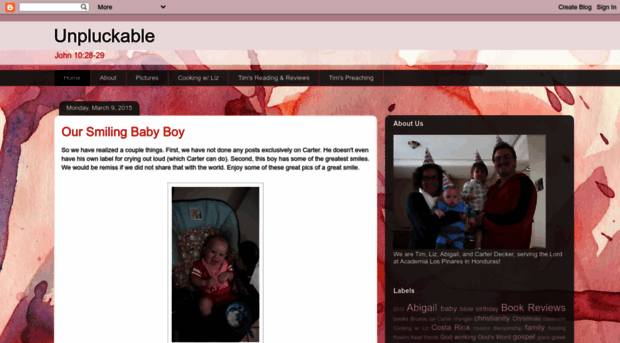 timandlizdecker.blogspot.com