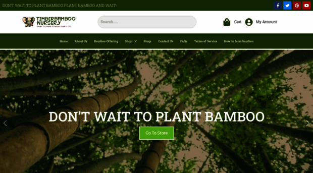 timberbamboonursery.com