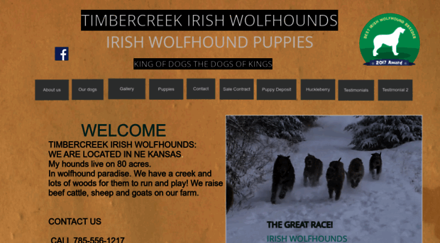 timbercreekirishwolfhounds.com