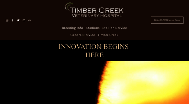 timbercreekveterinaryhospital.com