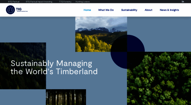 timberlandinvestmentgroup.com