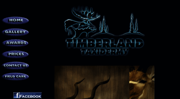 timberlandtaxidermy.net