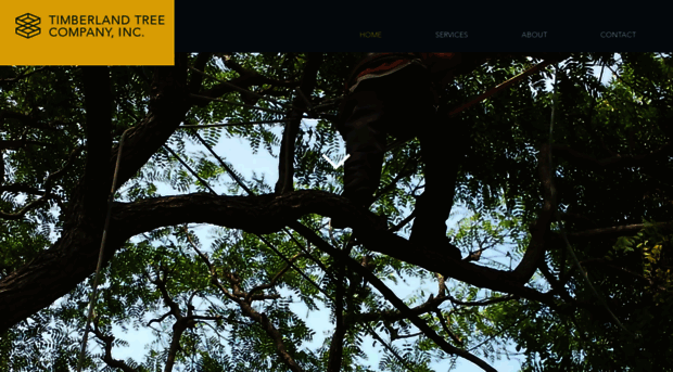 timberlandtreecompany.com