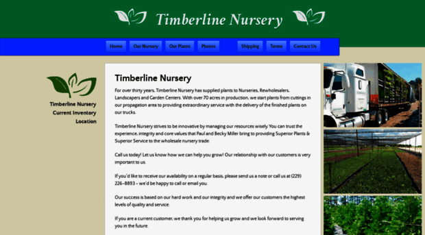 timberlinenursery.com