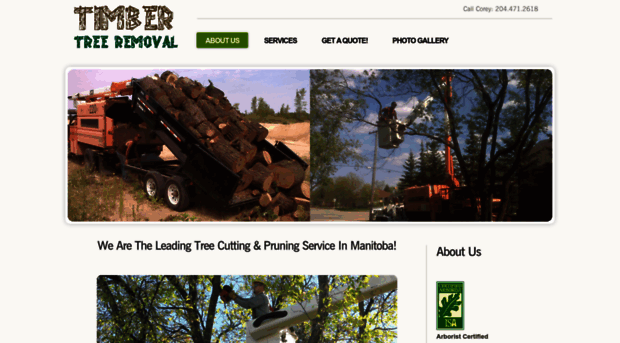 timbertreeremoval.net