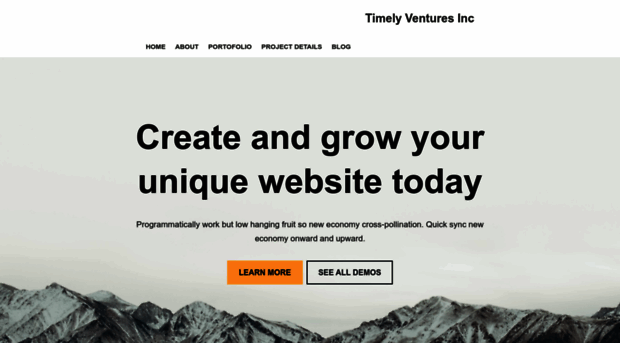 timely-ventures.com