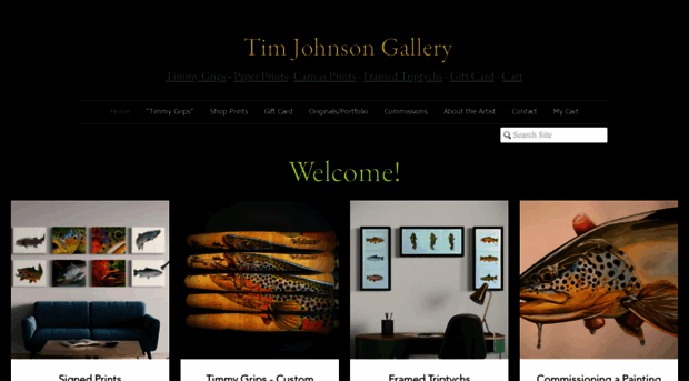 timjohnsongallery.com