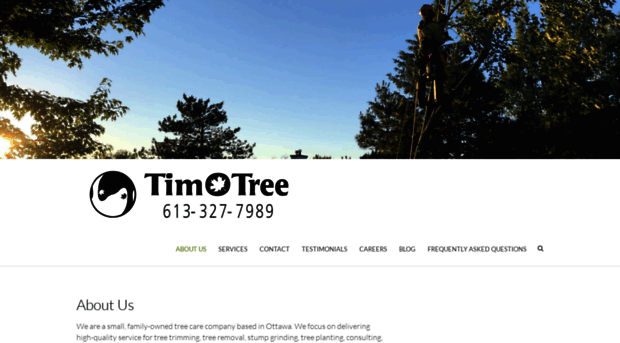 timotree.com