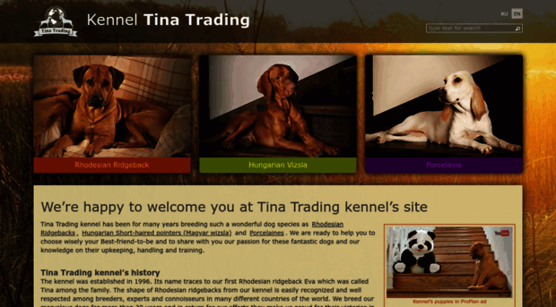 tina-trading.com