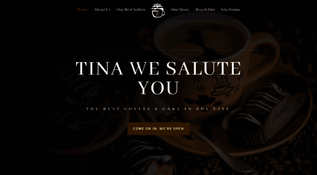 tinawesaluteyou.com