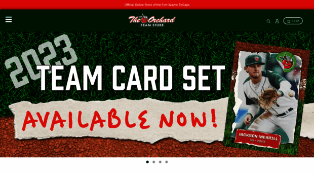 tincaps.milbstore.com