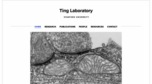 tinglab.org