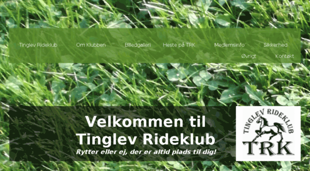 tinglev-rideklub.dk