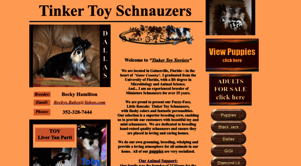 tinker-toy-schnauzers.com