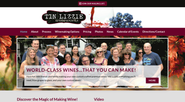 tinlizziewineworks.com