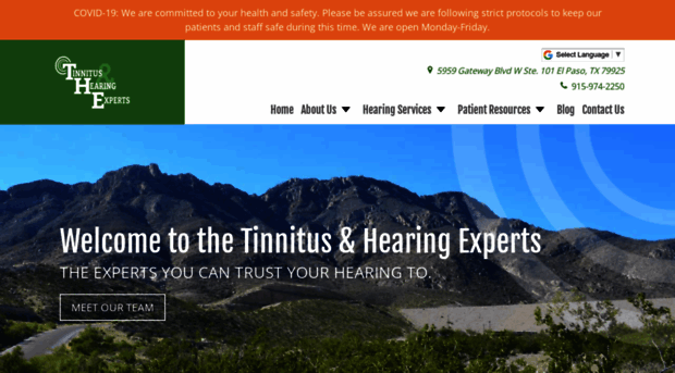 tinnitushearingexperts.com