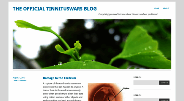 tinnituswars.wordpress.com