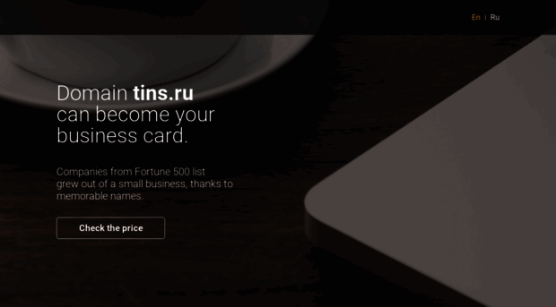 tins.ru
