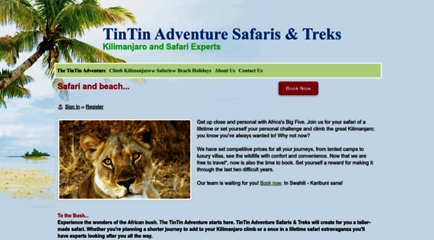 tintintours.com