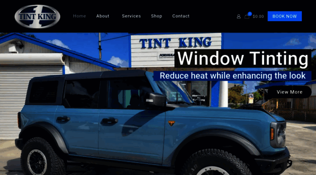 tintking.com