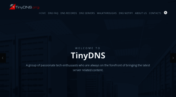 tinydns.org