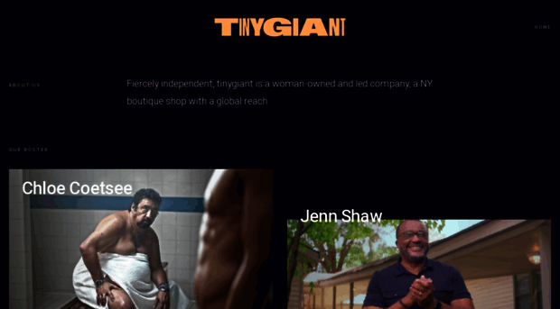 tinygiant.slateapp.com