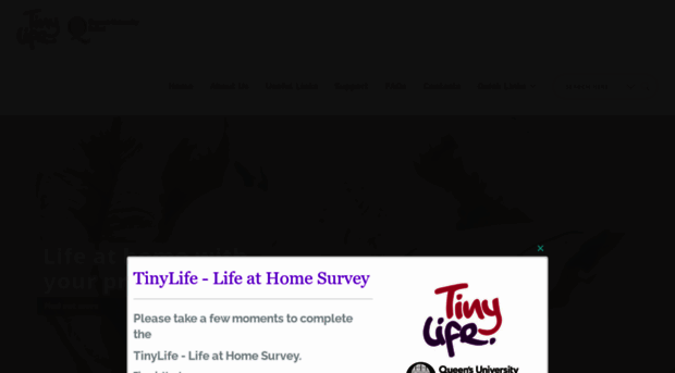 tinylife-lifeathome.dreamhosters.com