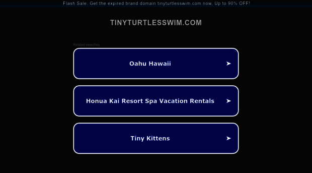 tinyturtlesswim.com