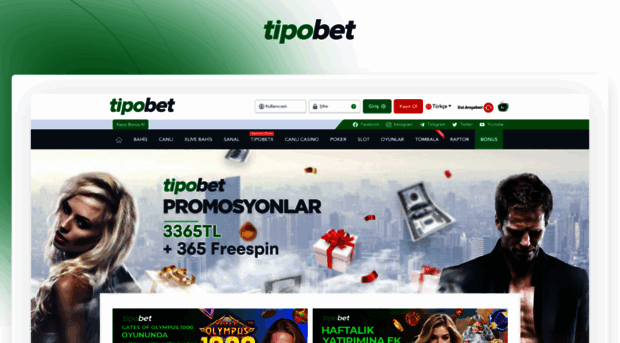 tipobet5442.com