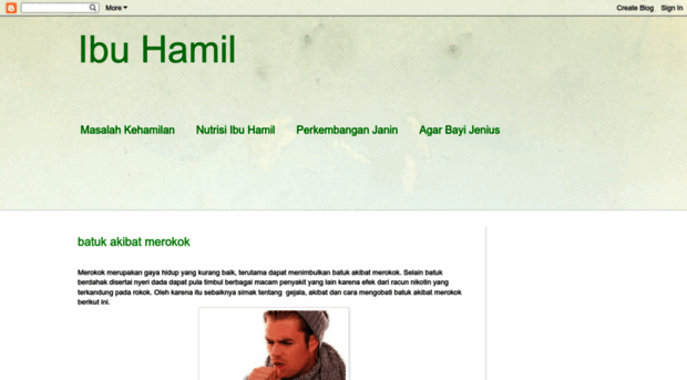 tipskehamilansehat.blogspot.com